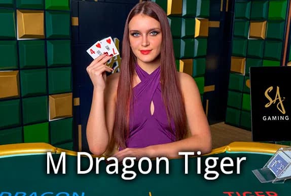 M Dragon Tiger